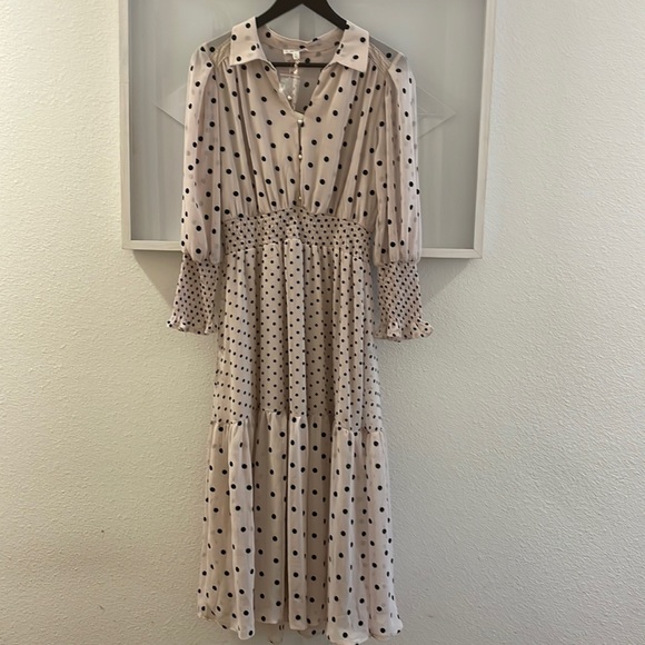 🪞🏞 sheer By the river poka dot dress🪞 - Picture 2 of 10